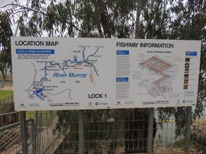 Lock 1 Murray River