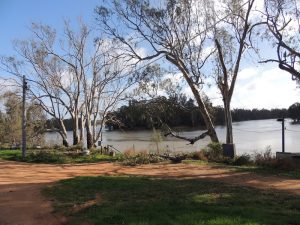 Murray River Boundry Bend